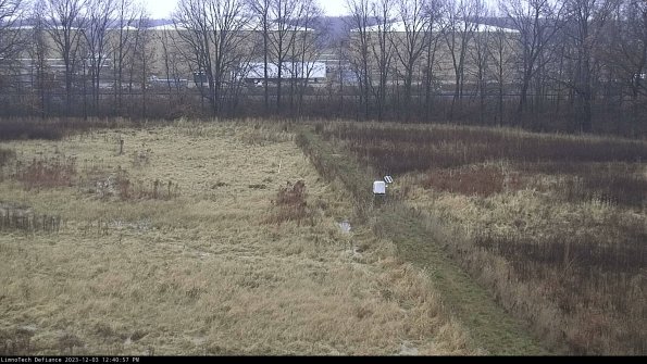 Cell 3 to 4_23-12-03_12-40-57-79