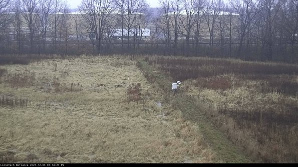 Cell 3 to 4_23-12-03_13-14-27-77