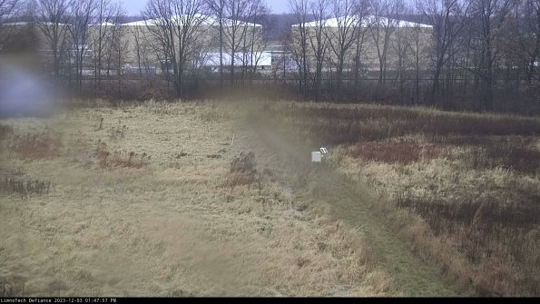 Cell 3 to 4_23-12-03_13-47-57-79