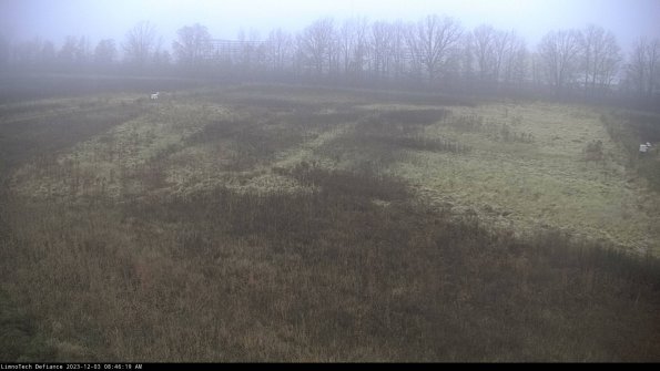 Cell 3_23-12-03_08-46-20-04