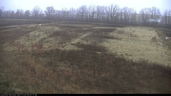 Cell 3_23-12-03_09-53-18-07