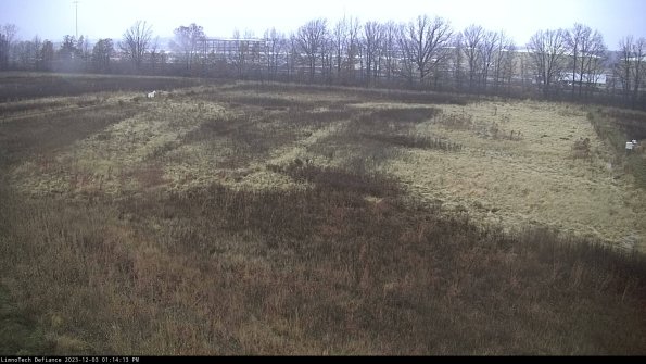 Cell 3_23-12-03_13-14-13-76