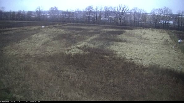 Cell 3_23-12-03_17-08-48-77