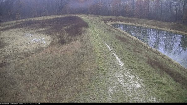 Cell 4 to Basin_23-12-03_10-27-44-77