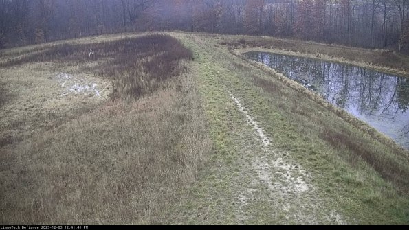 Cell 4 to Basin_23-12-03_12-41-41-77