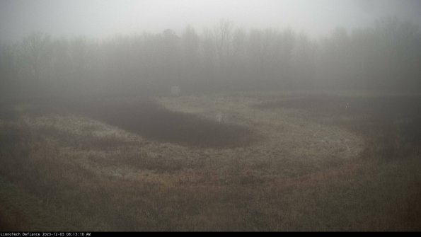 Cell 4_23-12-03_08-13-18-78