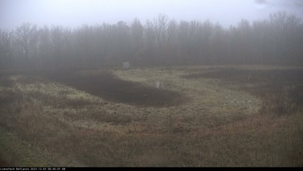 Cell 4_23-12-03_08-46-47-80