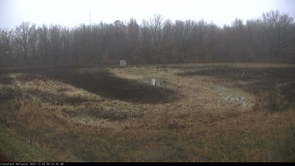 Cell 4_23-12-03_09-53-45-76