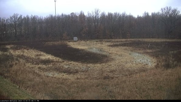 Cell 4_23-12-03_13-48-11-77