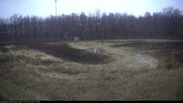 Cell 4_23-12-03_17-09-16-80