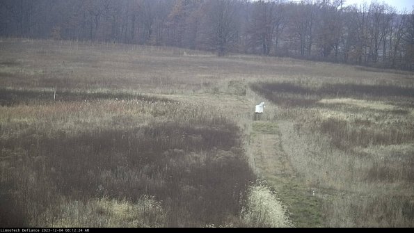 Cell 1 to 2_23-12-04_08-12-24-79