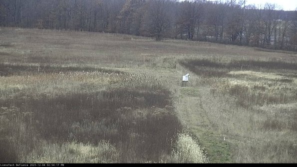 Cell 1 to 2_23-12-04_14-54-17-77