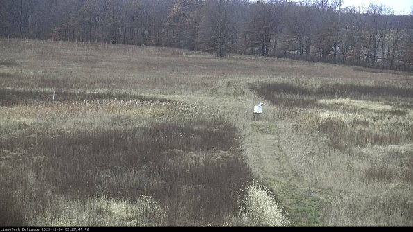 Cell 1 to 2_23-12-04_15-27-47-79