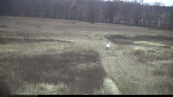 Cell 1 to 2_23-12-04_16-34-46-78