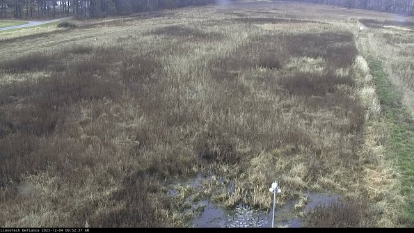 Cell 1_23-12-04_09-52-37-78