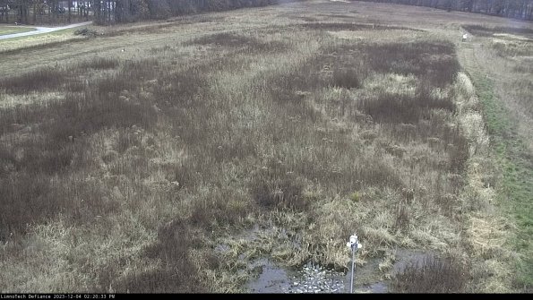 Cell 1_23-12-04_14-20-33-78