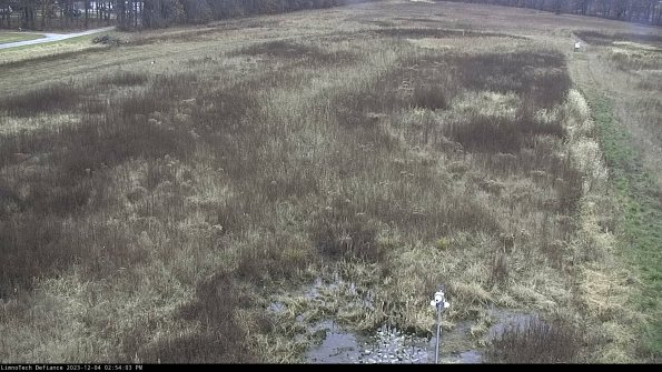 Cell 1_23-12-04_14-54-03-76