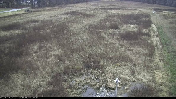 Cell 1_23-12-04_16-34-32-77