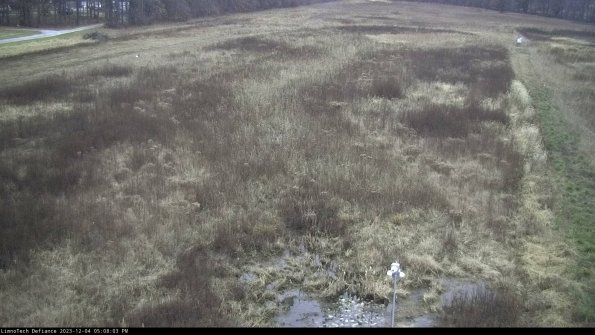 Cell 1_23-12-04_17-08-03-78