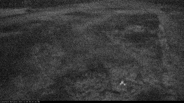 Cell 1_23-12-04_17-41-32-76