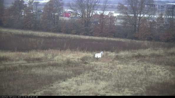 Cell 2 to 3_23-12-04_07-39-21-91