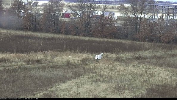 Cell 2 to 3_23-12-04_12-40-44-87