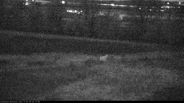 Cell 2 to 3_23-12-04_17-42-12-90