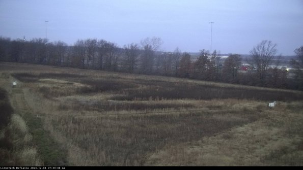 Cell 2_23-12-04_07-39-08-83