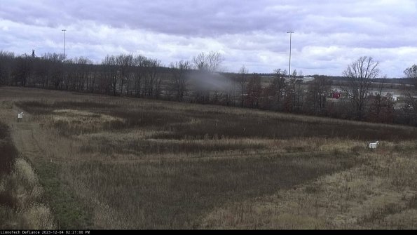 Cell 2_23-12-04_14-21-00-80