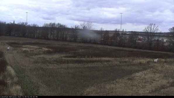 Cell 2_23-12-04_14-54-30-82