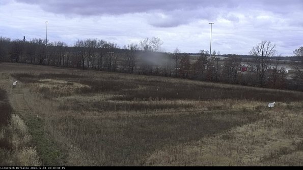 Cell 2_23-12-04_15-28-00-83