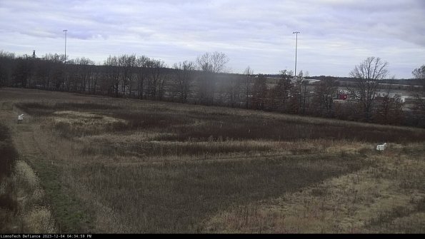 Cell 2_23-12-04_16-34-59-83