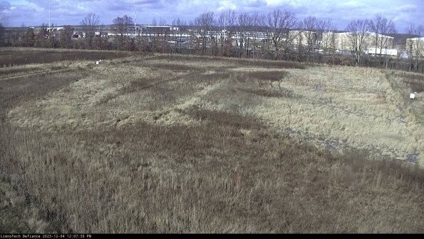 Cell 3_23-12-04_12-07-30-77