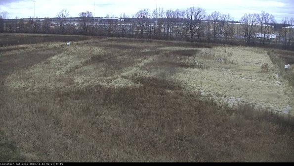 Cell 3_23-12-04_14-21-27-96