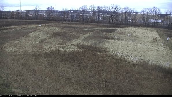 Cell 3_23-12-04_14-54-58-78