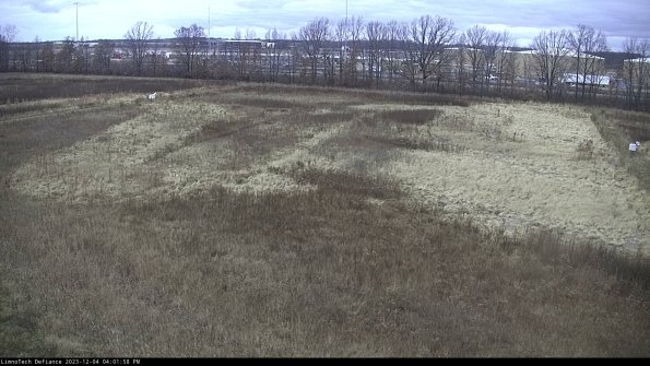 Cell 3_23-12-04_16-01-58-78