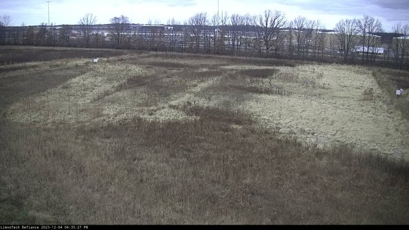 Cell 3_23-12-04_16-35-27-79