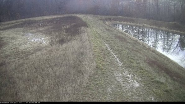 Cell 4 to Basin_23-12-04_07-40-34-78