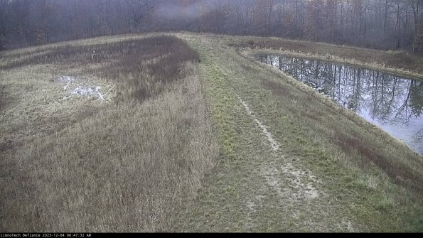 Cell 4 to Basin_23-12-04_08-47-32-80