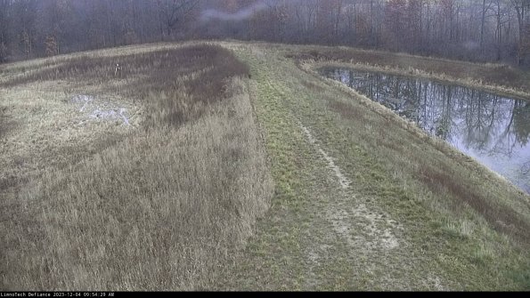 Cell 4 to Basin_23-12-04_09-54-29-76