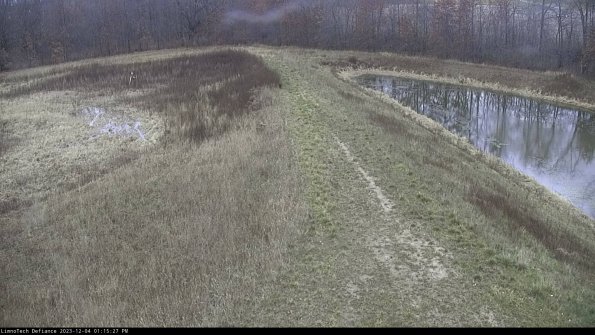 Cell 4 to Basin_23-12-04_13-15-27-79