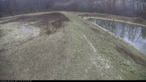 Cell 4 to Basin_23-12-04_14-55-56-77