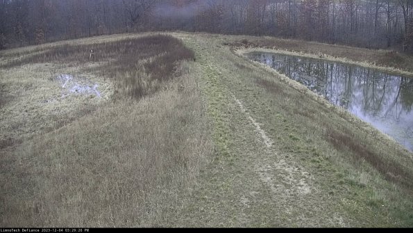 Cell 4 to Basin_23-12-04_15-29-26-79