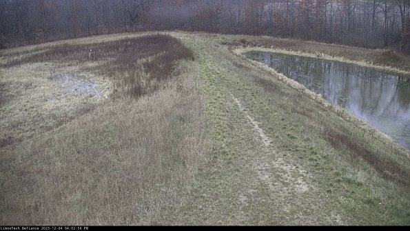 Cell 4 to Basin_23-12-04_16-02-56-80