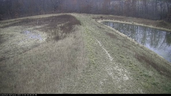 Cell 4 to Basin_23-12-04_16-36-25-78