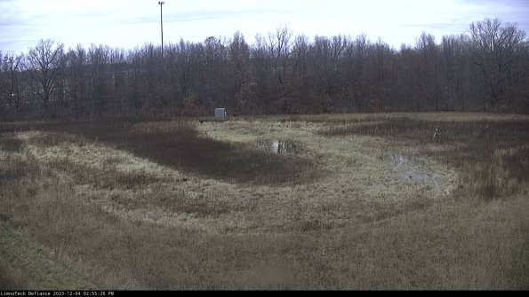 Cell 4_23-12-04_14-55-26-78