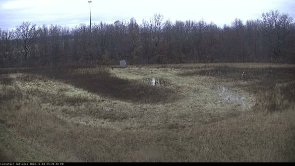 Cell 4_23-12-04_15-28-56-79