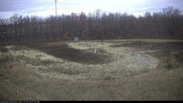 Cell 4_23-12-04_16-35-55-79