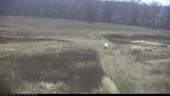 Cell 1 to 2_23-12-05_08-46-06-79