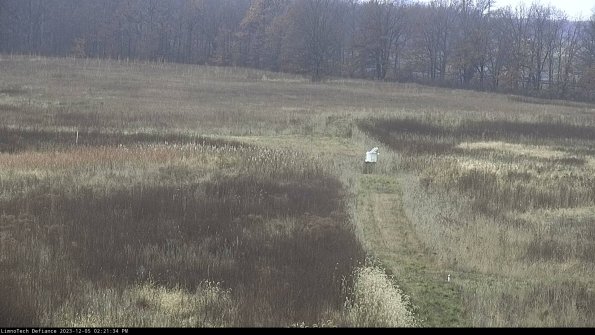 Cell 1 to 2_23-12-05_14-21-34-77